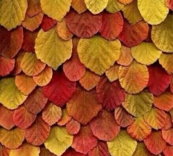 南宫平台的交易策略与实战案例