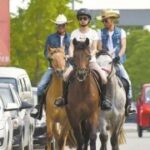 南宫官网:探索南宫文化与历史的最佳平台 8iyj0gdx1