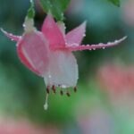 南宫官网:南宫的社区服务与志愿活动 p7w30