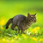 南宫导航如何促进城市规划与发展 r0i1jzrz9