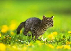 南宫导航如何促进城市规划与发展